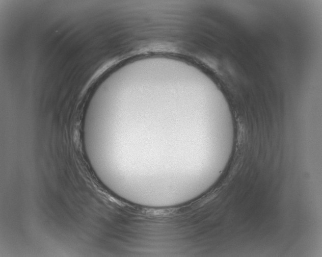 X0000080741266200612150923
