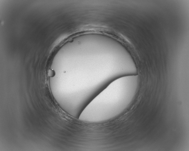 X0000080741267200612150923