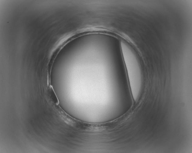 X0000080741269200612150923