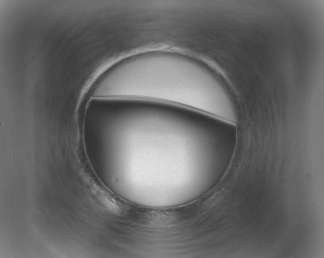 X0000080741270200612150923