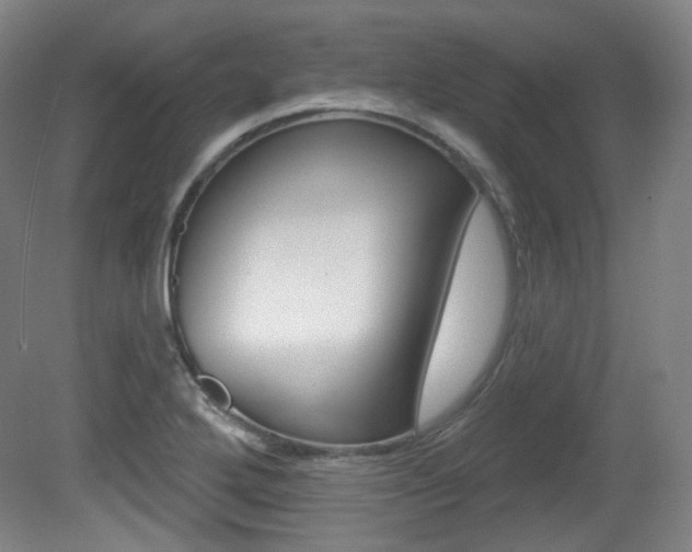 X0000080741272200612150923