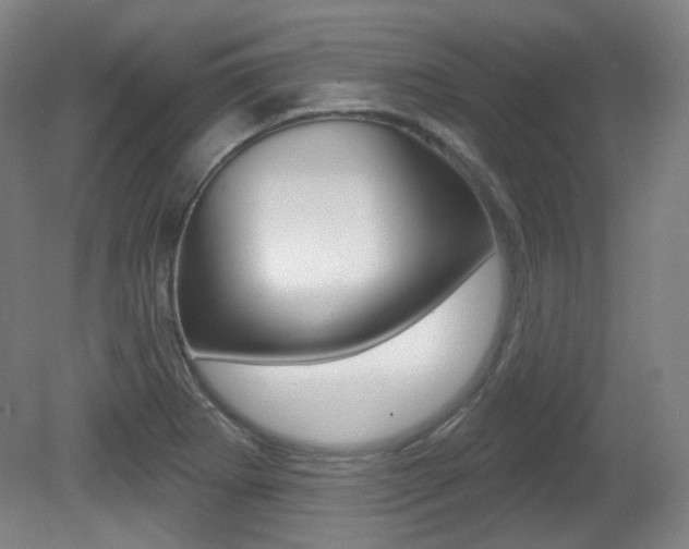 X0000080741273200612150923