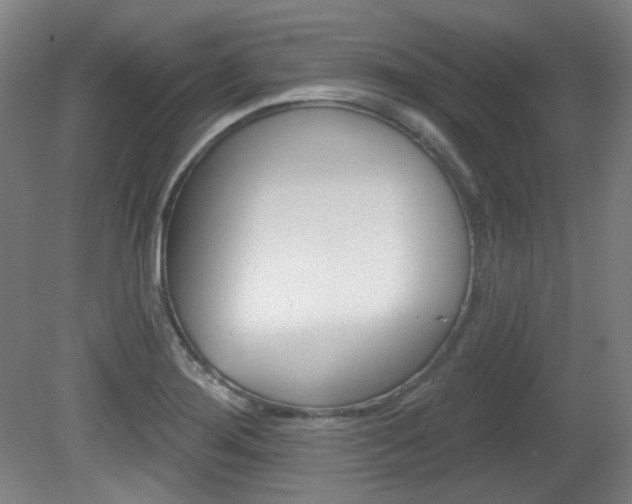 X0000080741276200612150923