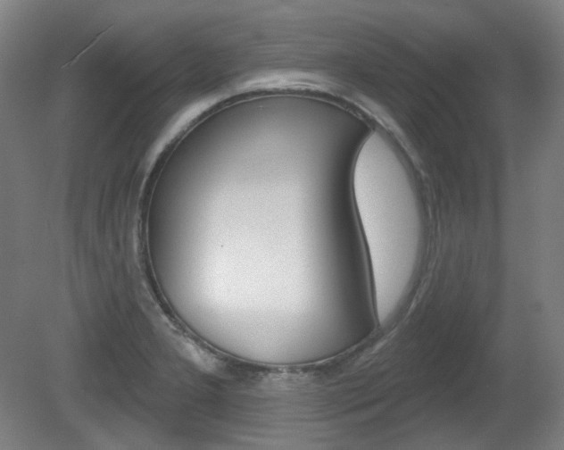 X0000080741277200612150922