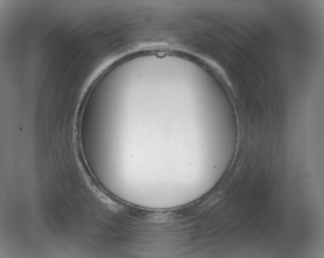X0000080741279200612150922