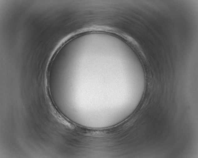 X0000080741280200612150922
