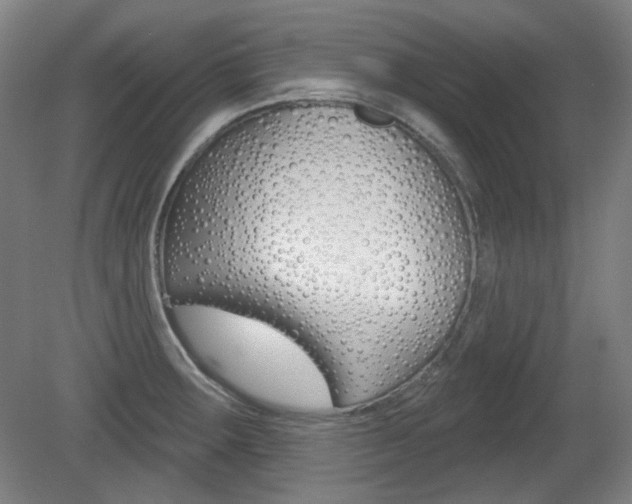 X0000080741283200612150922
