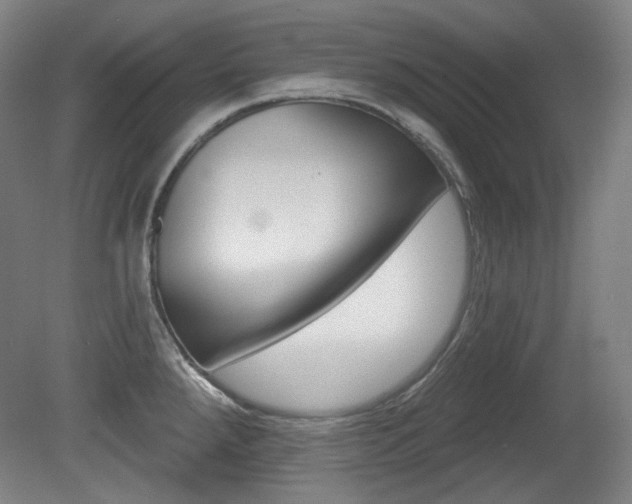 X0000080741288200612150922