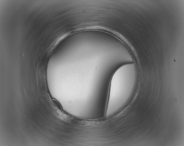 X0000080741289200612150922