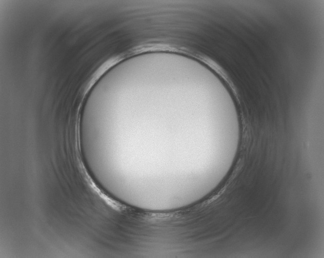 X0000080741290200612150922