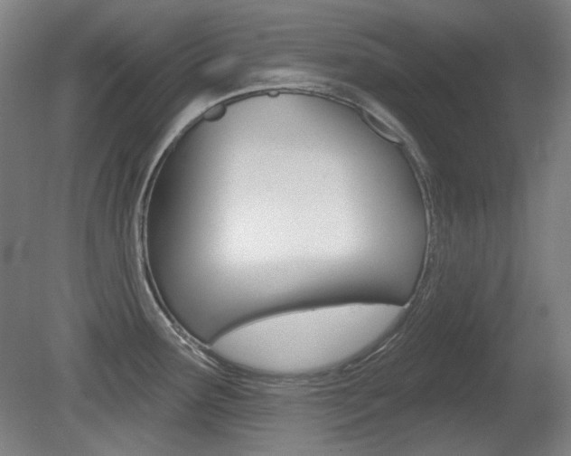 X0000080741291200612150922