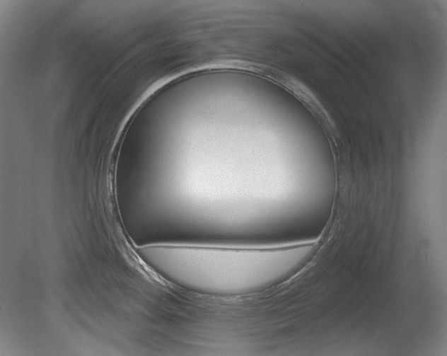 X0000080741292200612150922