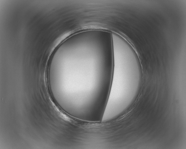 X0000080741293200612150922