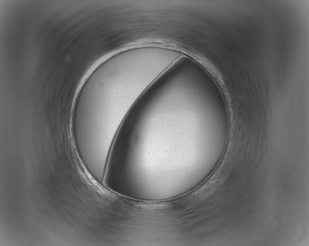 X0000080741296200612150922