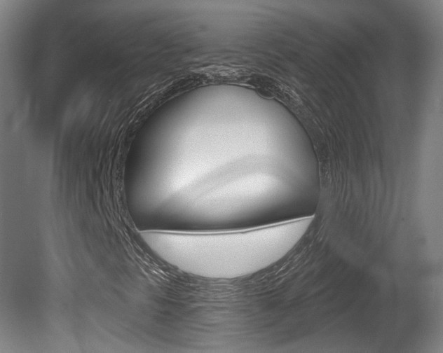 X0000080741297200612150921
