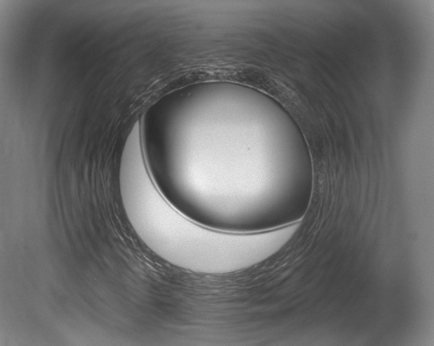X0000080741298200612150921