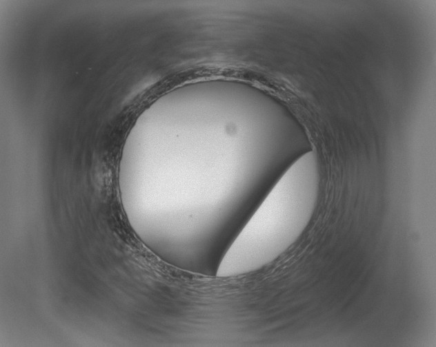 X0000080741302200612150921