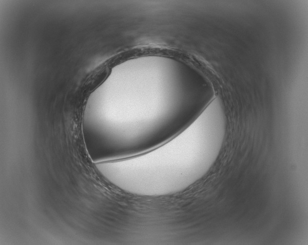 X0000080741303200612150921