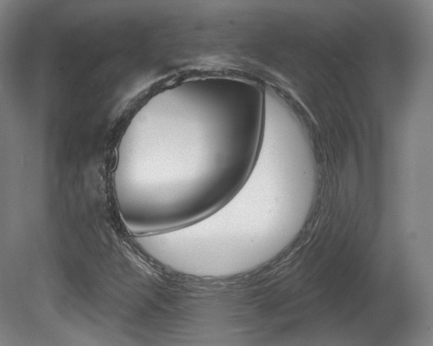 X0000080741304200612150921