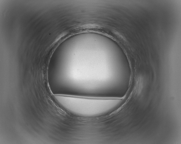 X0000080741305200612150922