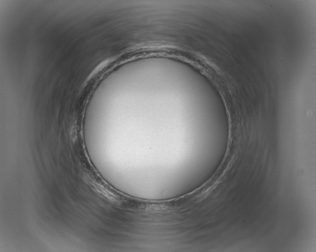 X0000080741306200612150922