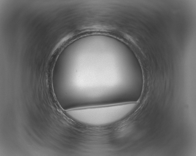 X0000080741307200612150922
