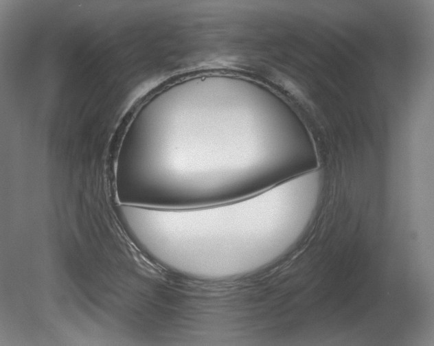 X0000080741308200612150922