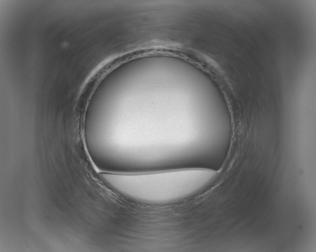 X0000080741310200612150922