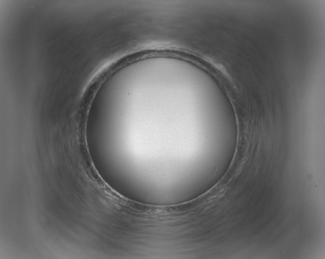 X0000080741311200612150922