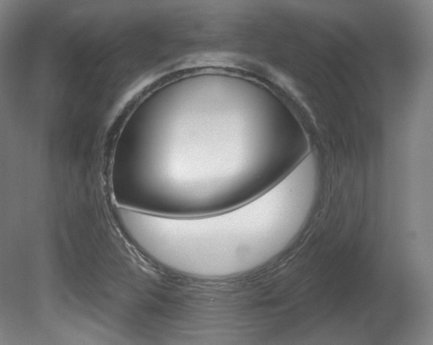 X0000080741312200612150922