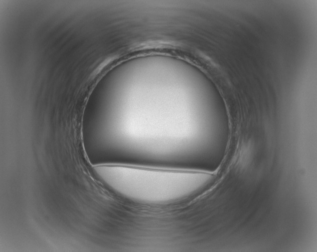 X0000080741313200612150922