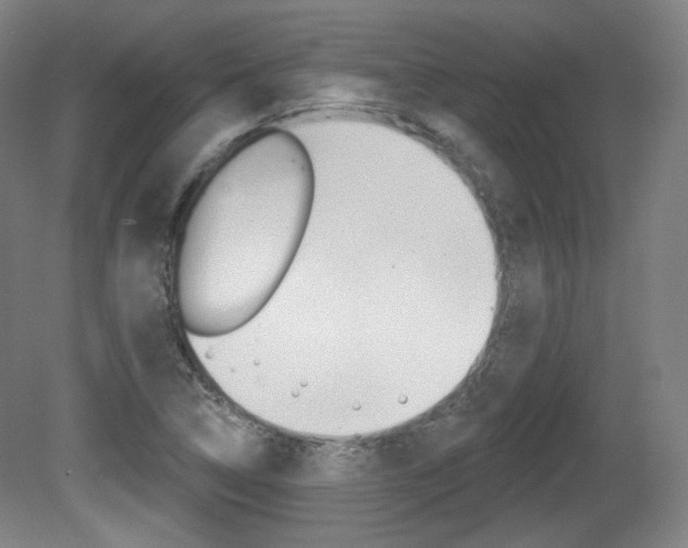 X0000080741314200612150922