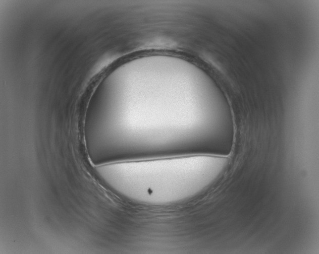 X0000080741315200612150922
