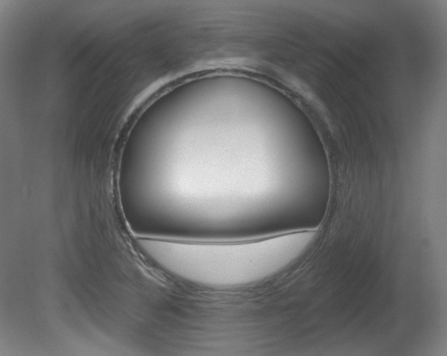 X0000080741316200612150922