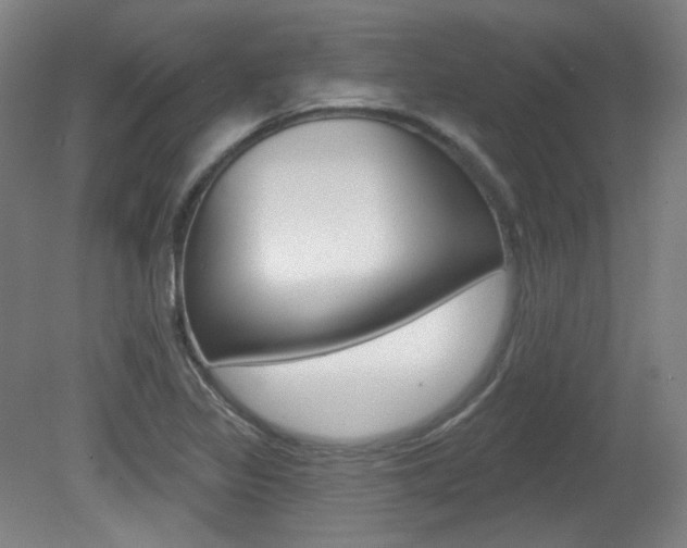 X0000080741317200612150922