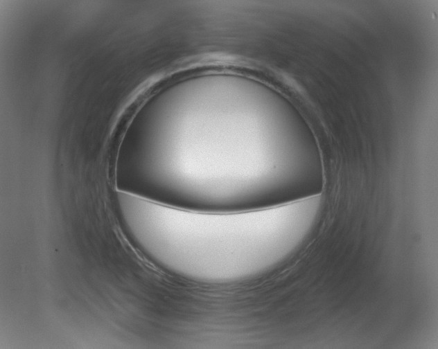 X0000080741318200612150922