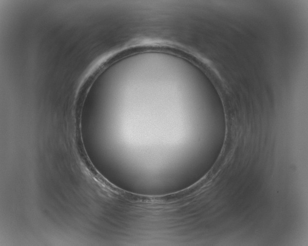 X0000080741319200612150922