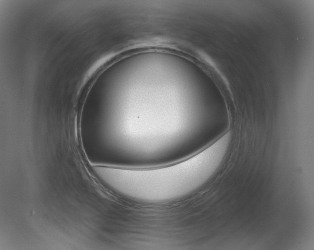 X0000080741320200612150922