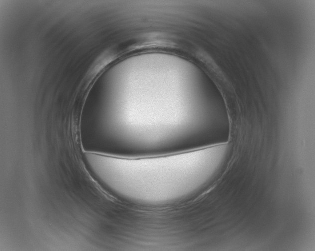 X0000080741321200612150922