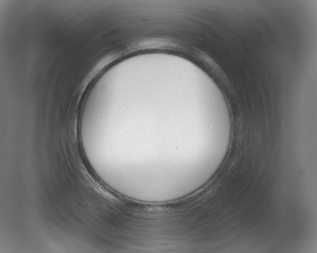 X0000080741322200612150922