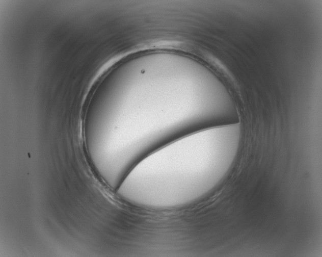 X0000080741324200612150922