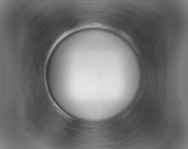 X0000080741326200612150922