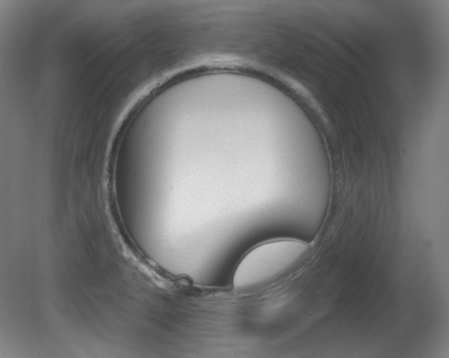 X0000080741327200612150922