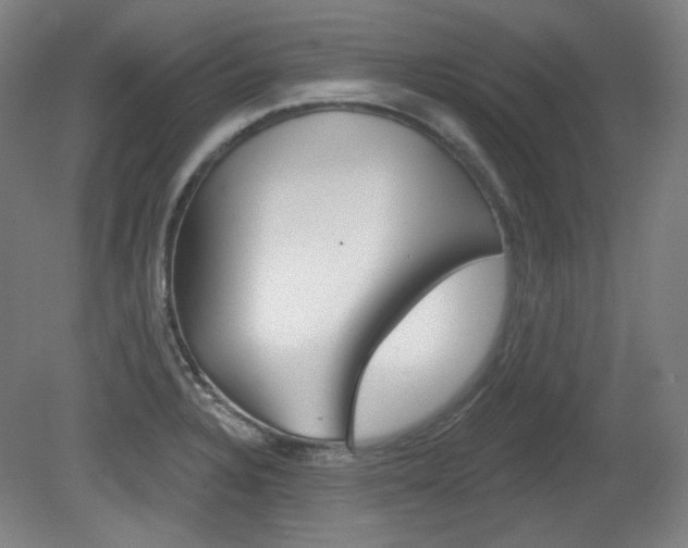 X0000080741328200612150922