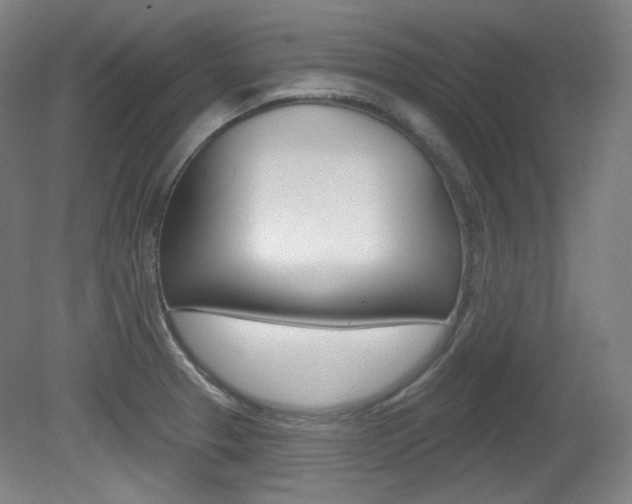 X0000080741329200612150922