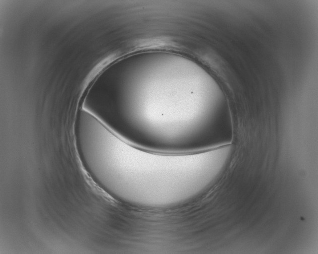 X0000080741330200612150922