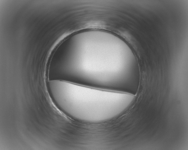 X0000080741331200612150922