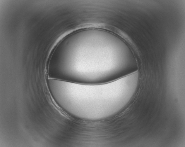 X0000080741332200612150922