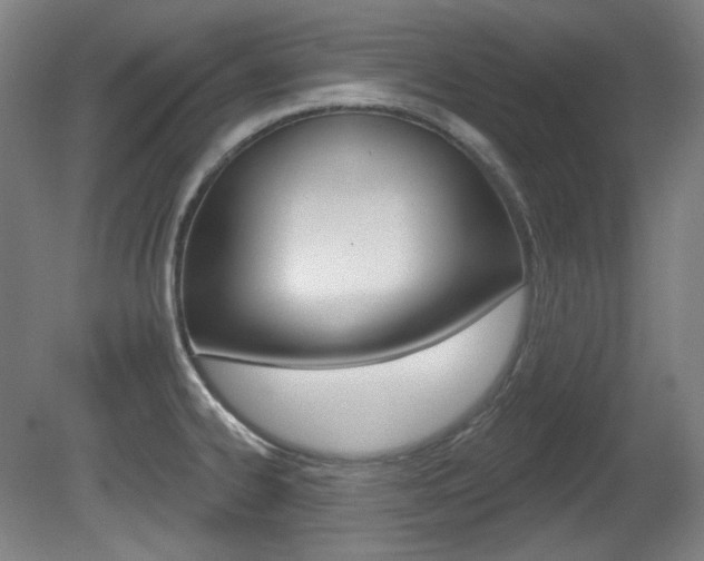 X0000080741334200612150922