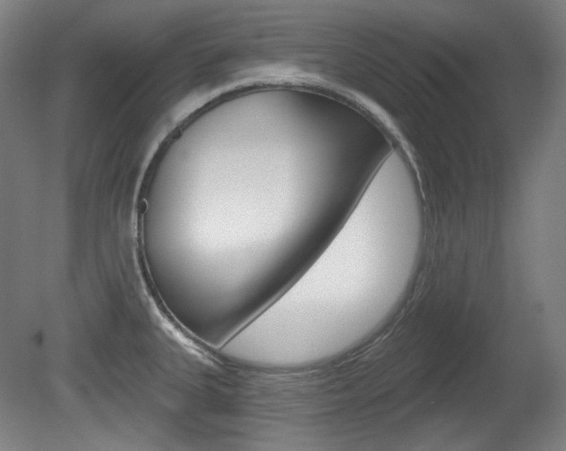 X0000080741335200612150922